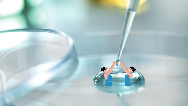 Capturing antigens as latex in diagnostic drugs for tests