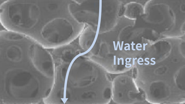 Cell Cross-Section
