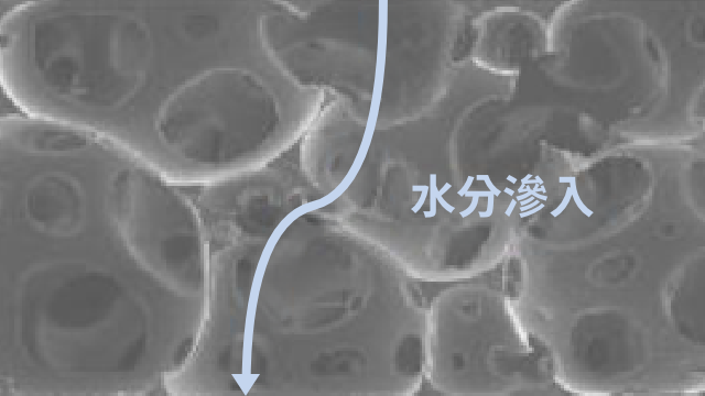 氣泡截面圖