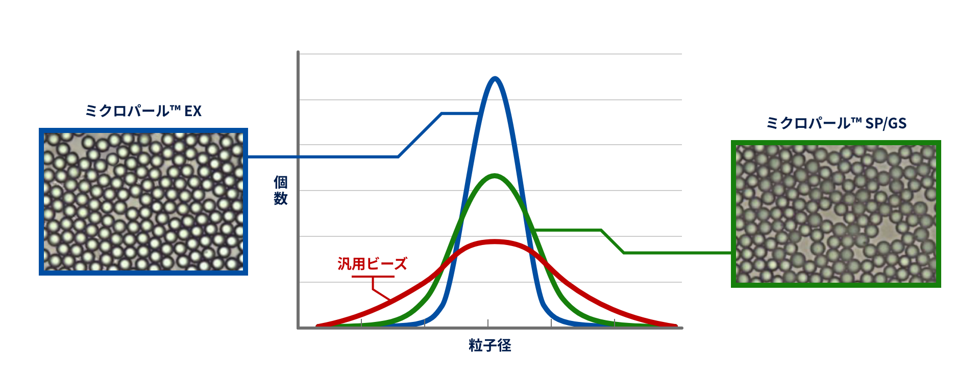 粒子径