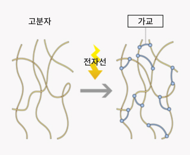 조사공정