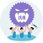 捕捉性・凝集性