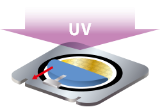 UV 조사・보호 필름 박리
