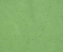 SELFA™ 레이저 절제시유리의 함몰