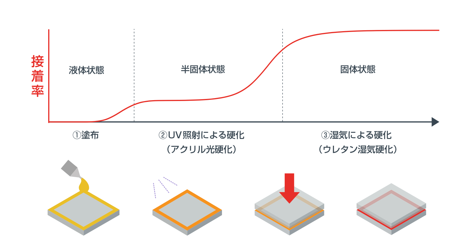 硬化プロセス